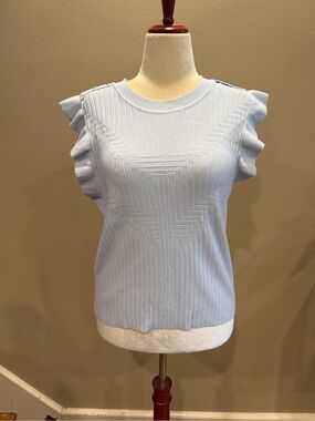 Light Blue Ruffle Sleeve Sweater Rio and Rian Soft Girl Boho Feminine Casual XL